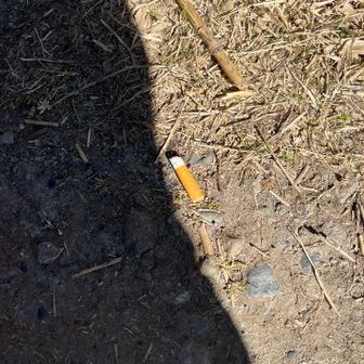 グーミンの痕跡。
愚民は山や海に来なくていいよ😄