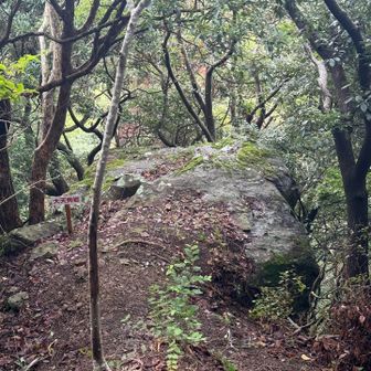 400mのピークに登ると大天狗岩🪨となります。