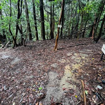 三叉路。ここに出てきました。親水公園からだと右手からここに合流。　山頂へは手前へ。