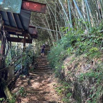千木良登山口からの竹林道は

木陰で涼しく気持ちいい