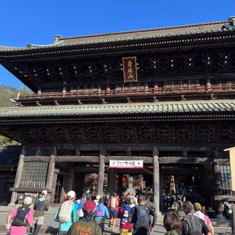 立派だなーー👀✨