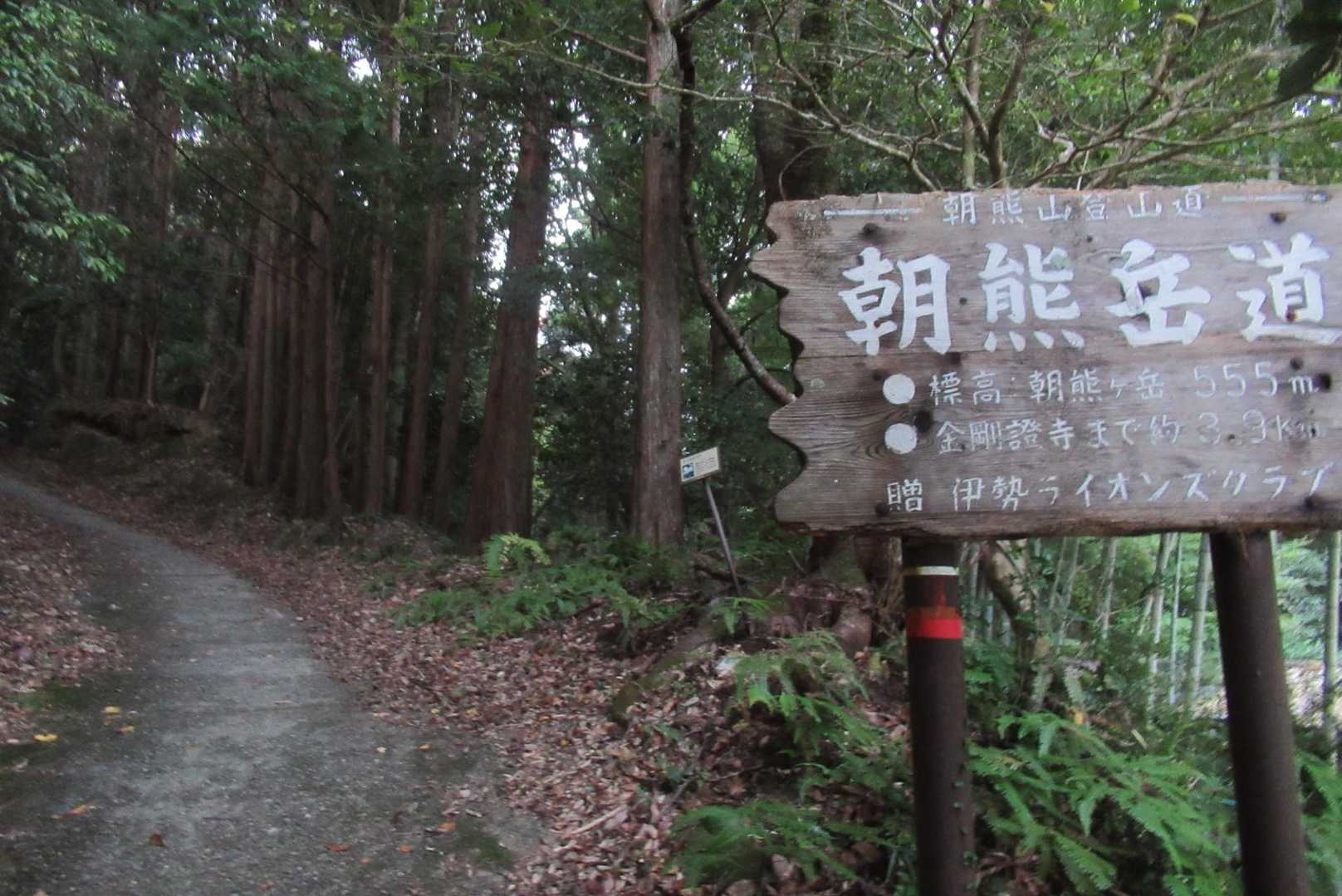 今日は気温は25℃と低いのですが高湿度、風無しのようです。