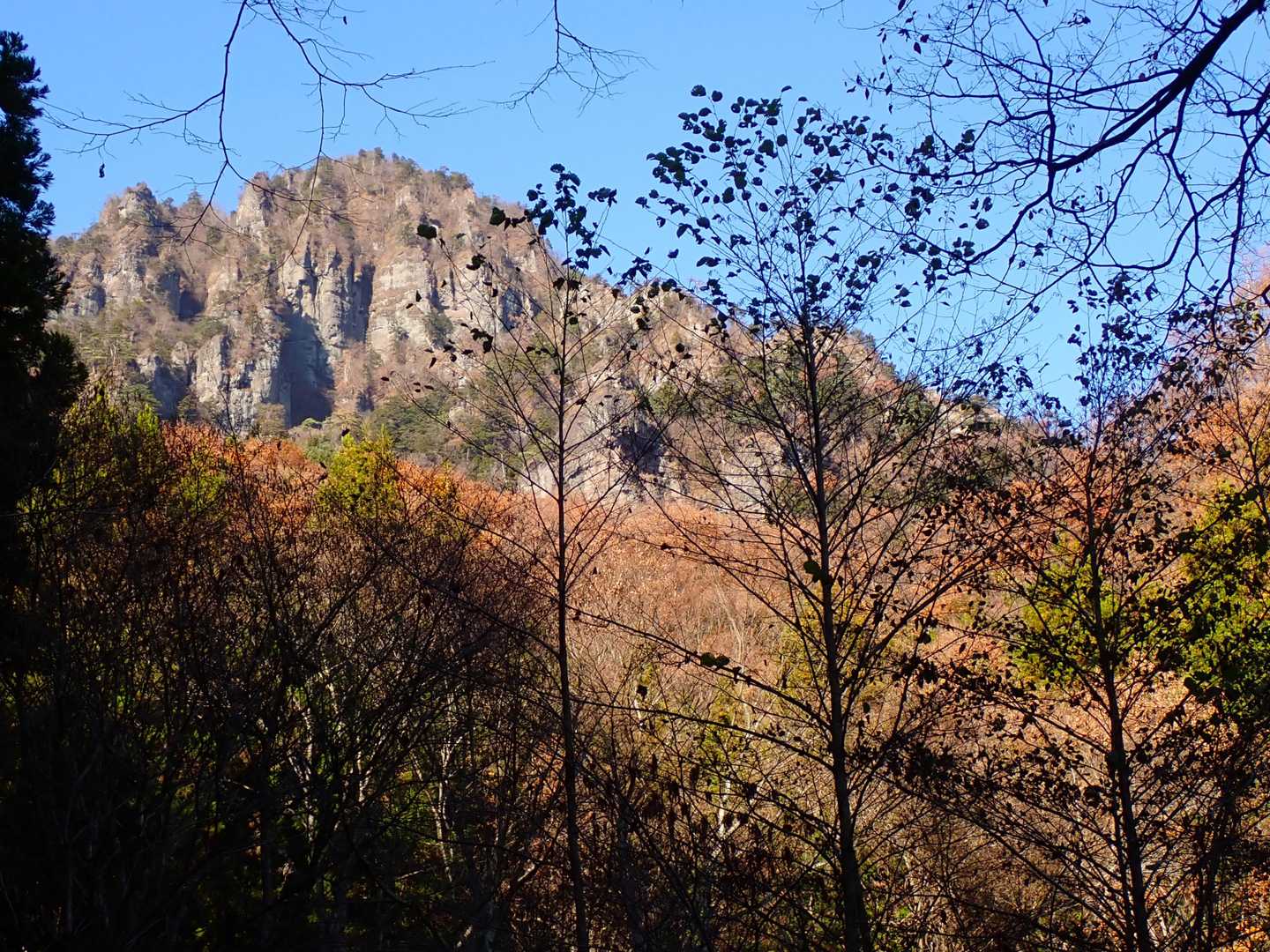 本日も大満足の紅葉散歩となりました！