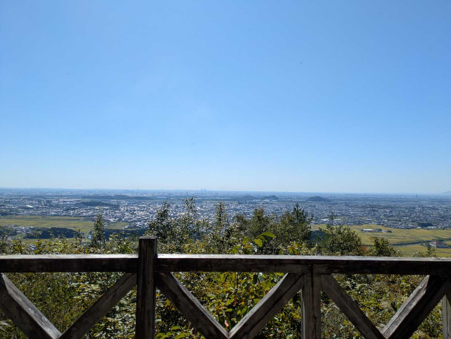展望台からの景色