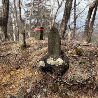 薬師如来。
たくさんの神様、お地蔵様が見守ってくれています。