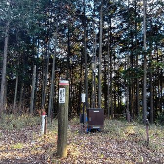 本日のメイン、矢の音