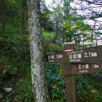 ここからまた斜度がアップ⤴️