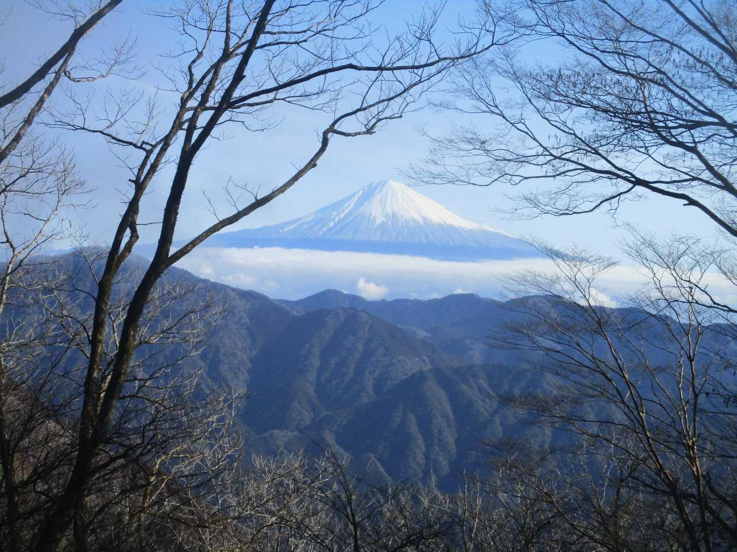 富士山がきれい