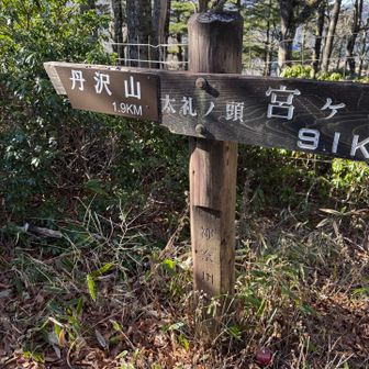 太礼ノ頭　丹沢山まで頑張るぞ