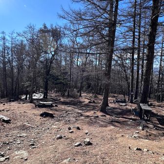 テン場
さすがにテントはない