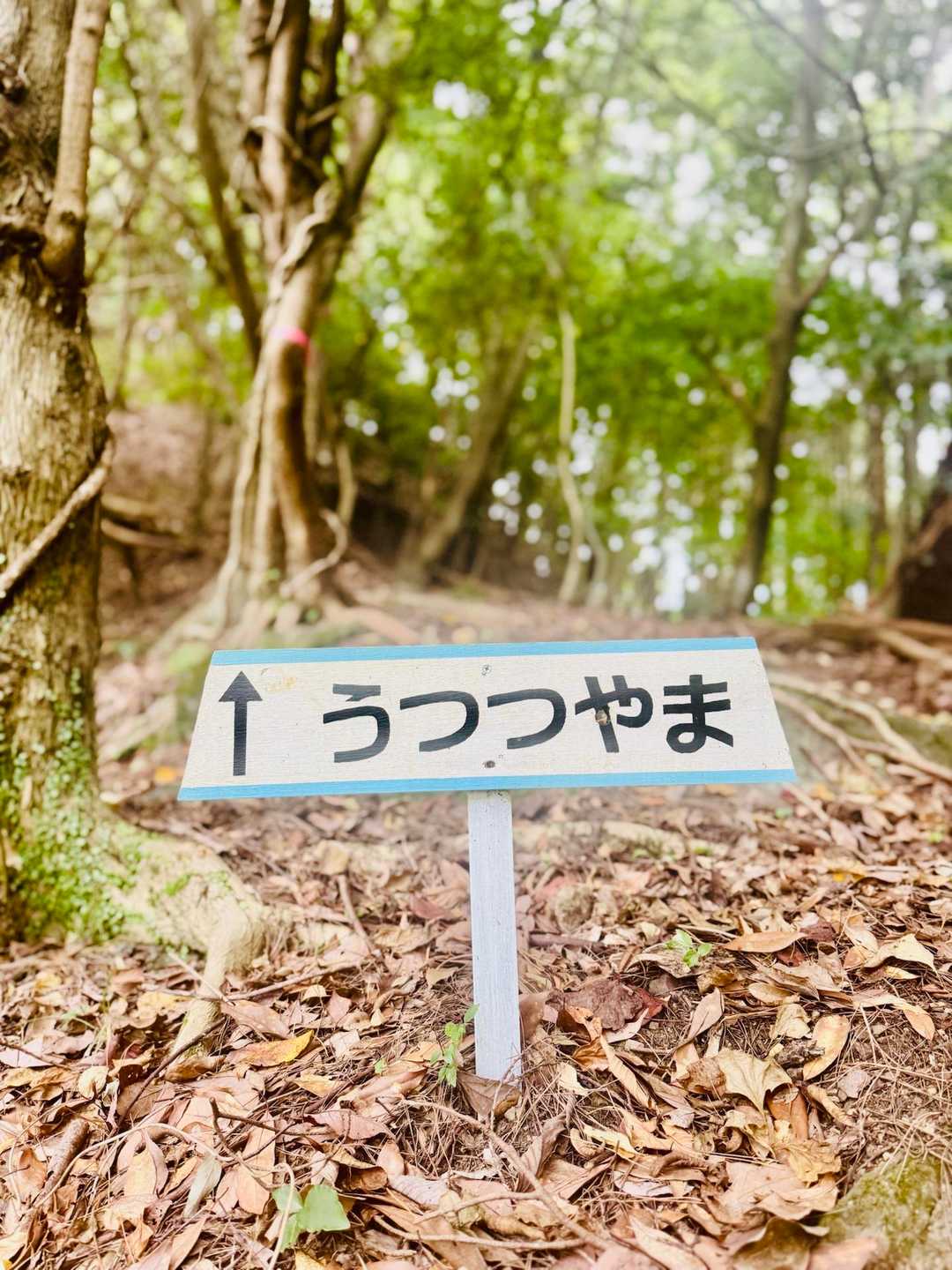 うつつやま  ᘜO👣⸒⸒