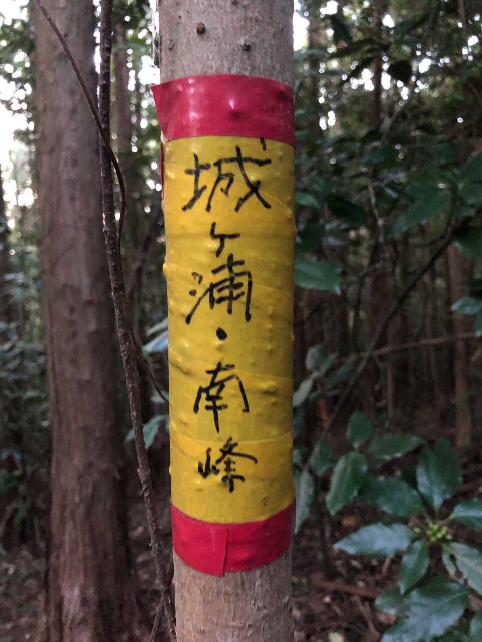 城ヶ浦南峰山頂です⛰
眺望はありません😌
