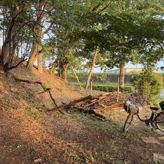 尾根幹線道路のすぐ近くを通って、登り道へ💪