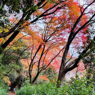 麓はまだ明るい🍁楽しめた