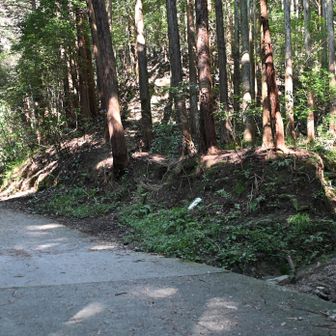 大岩コースここから行きます