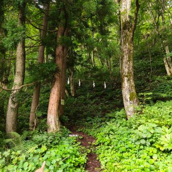 いざ登山道に突入👆️
