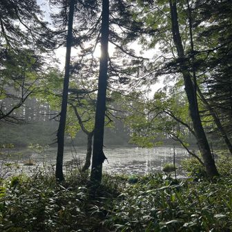 虫沢山