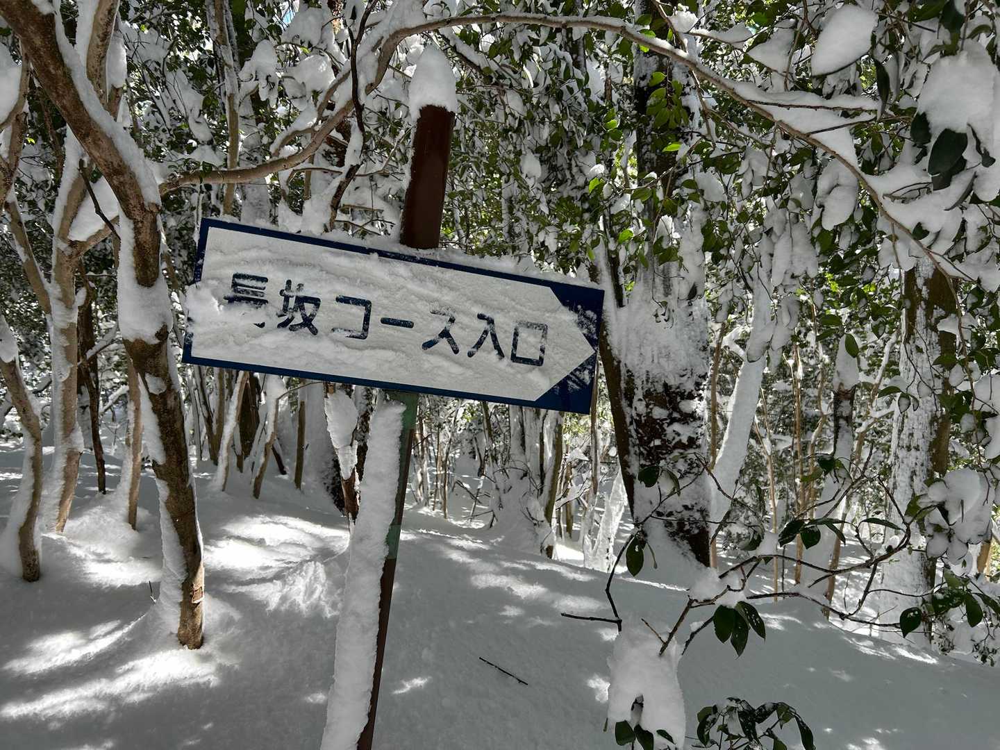 下山は長坂コースで