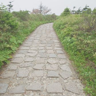 道はほとんど石畳かよく整備されて平坦。
傾斜もゆるやか。
