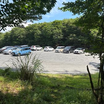 三国山から下りてきて三国峠駐車場に到達。