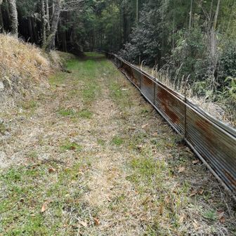 車が走った跡があるが、すぐに走行不能な道になる