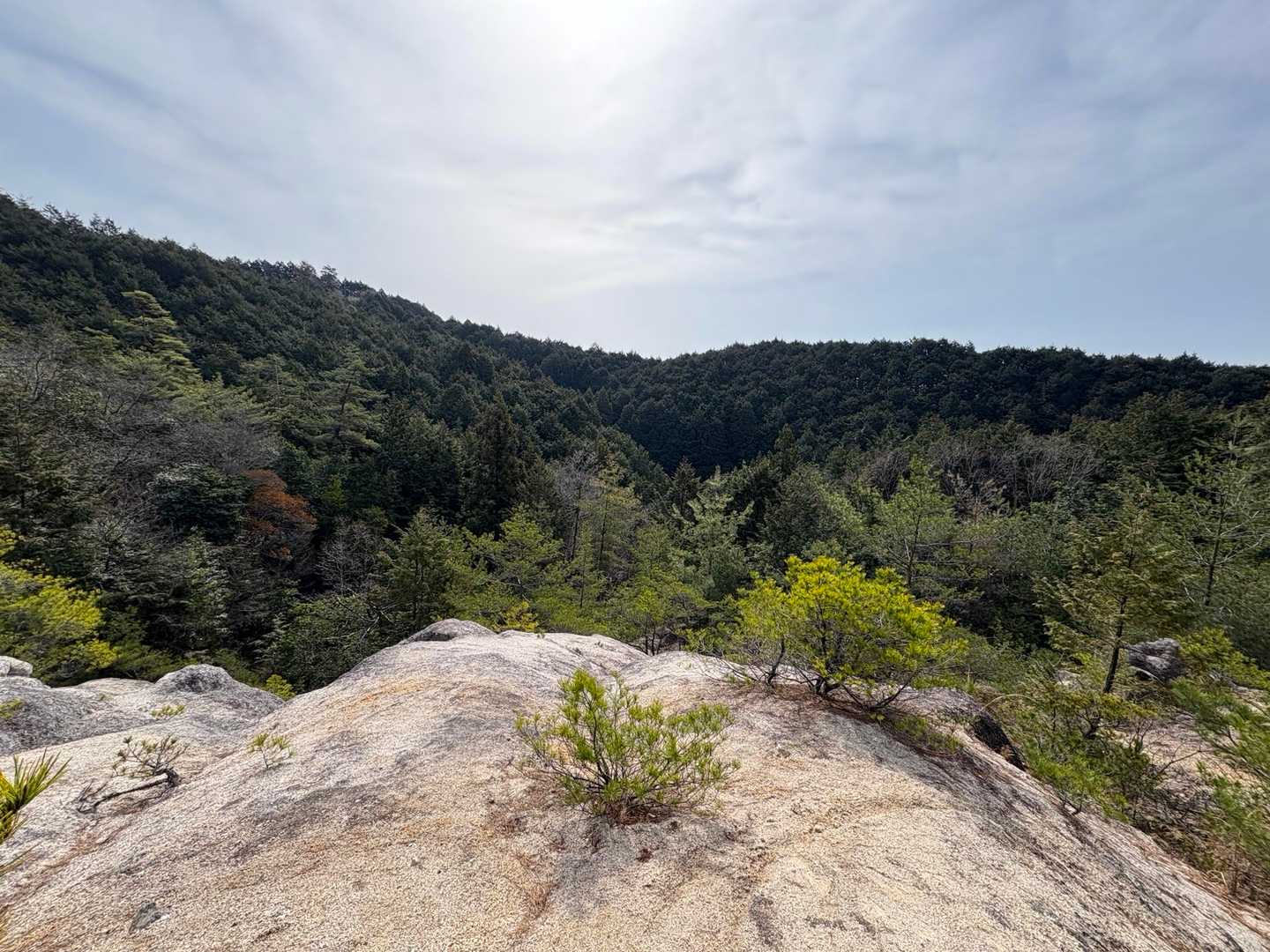 大和朝倉駅-白山登り口-白山-巻向山-高山神社-初瀬山-初 縦走コースの写真