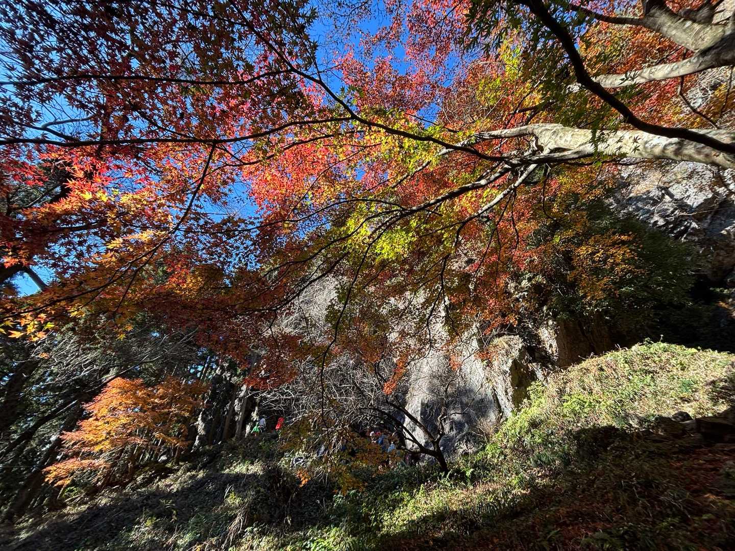 紅葉見ながら気持ちよくクライミングできますね