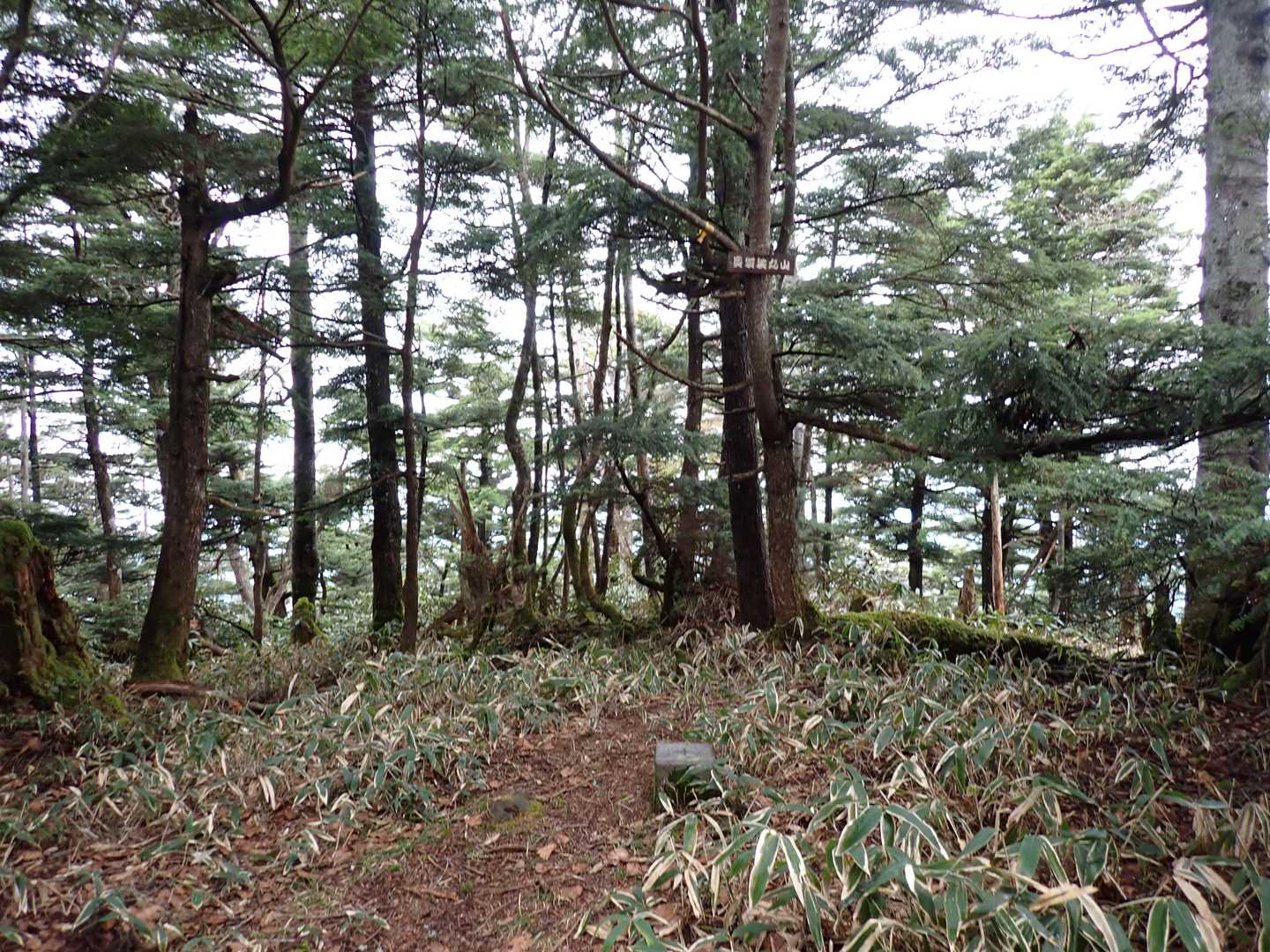 奥袈裟丸山。樹林帯で眺望なし。