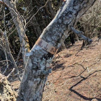 山頂テープ見っけ♪
…コレが無いとシマラナイのよ😂