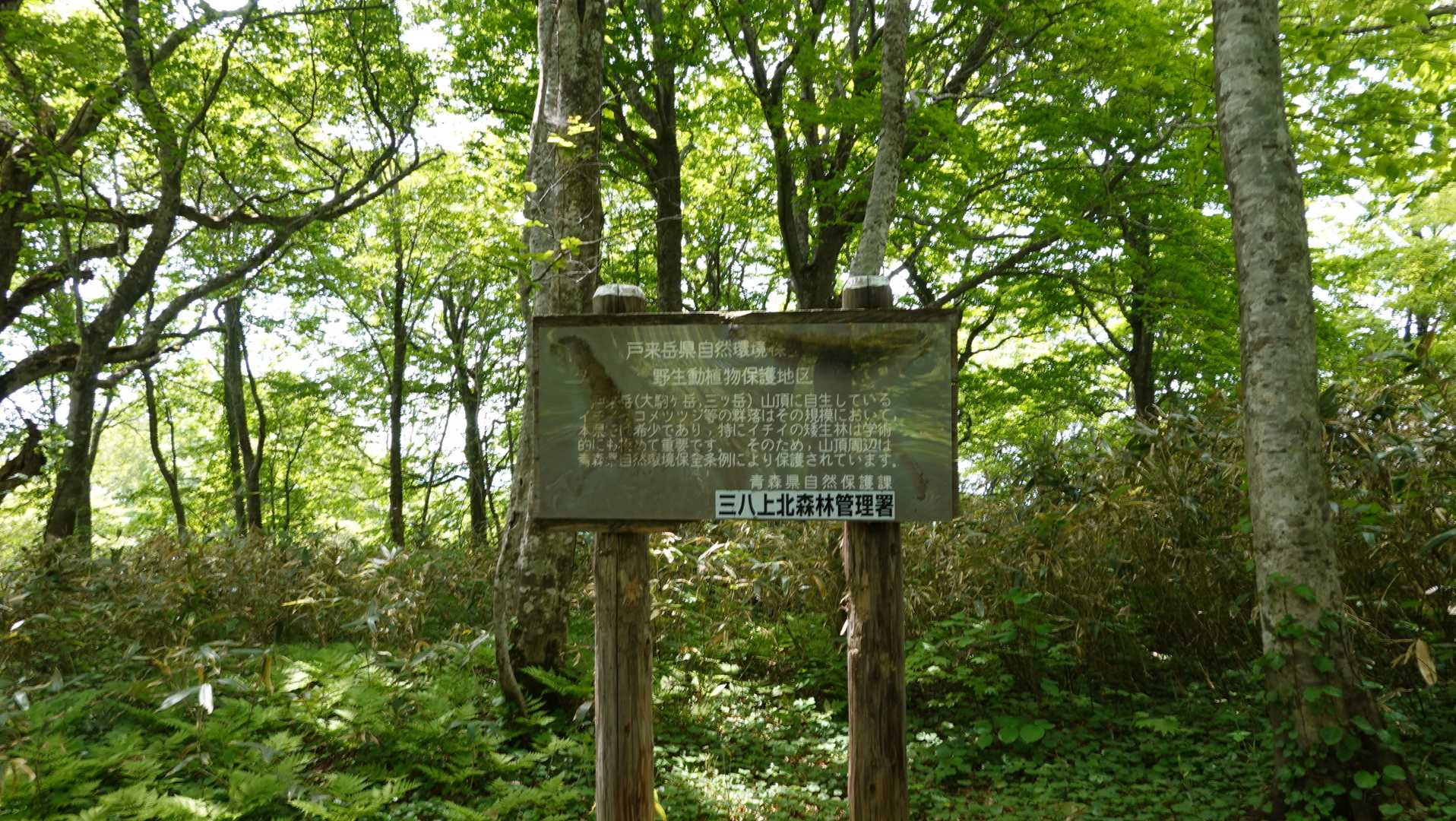 大駒ヶ岳〜三ッ岳コースの写真