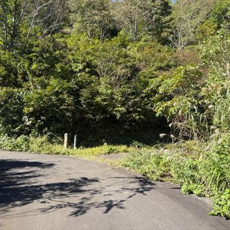 やっと舗装路に出ました