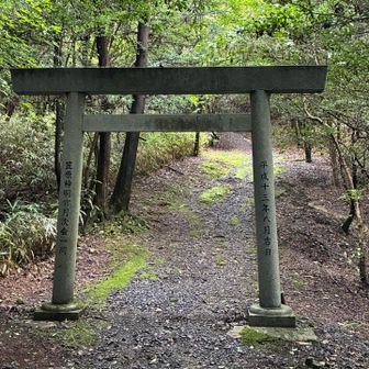 戻ります
