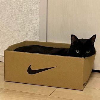 クロロ