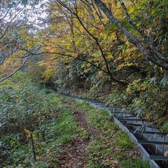 用水路沿いをしばらく進み