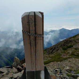 山頂！