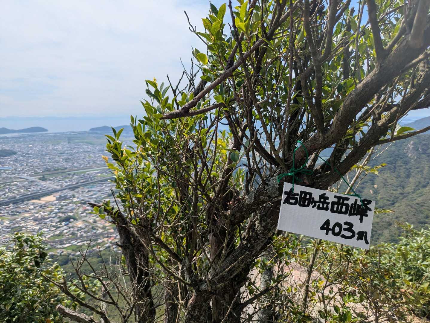少し見渡したら…