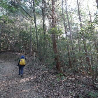 再び右へ、他人があんまり歩かないコースを…