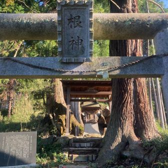 根神神社⛩️
四福参りで打ち止め