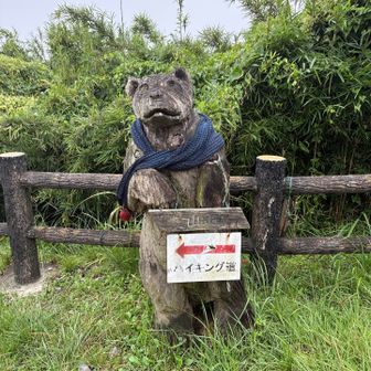 クマさん🐻もいるよ
