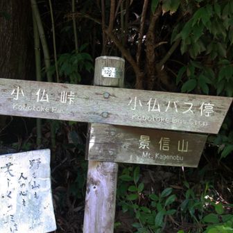 景信山登山口