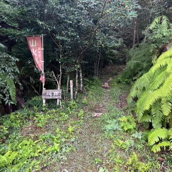 ここから登山道