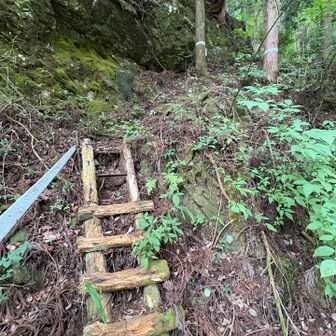 この階段から登って行きます。