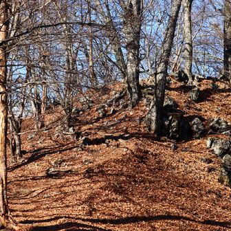 まだまだ登ります。