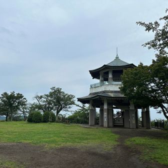 権現山にゃ。夕方なので、展望台はパスにゃ〜