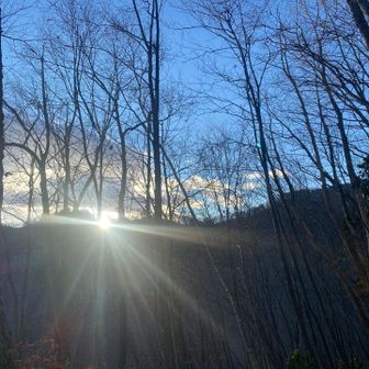 おはようございます