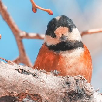 あたしも飛んでみようかな〜🤭