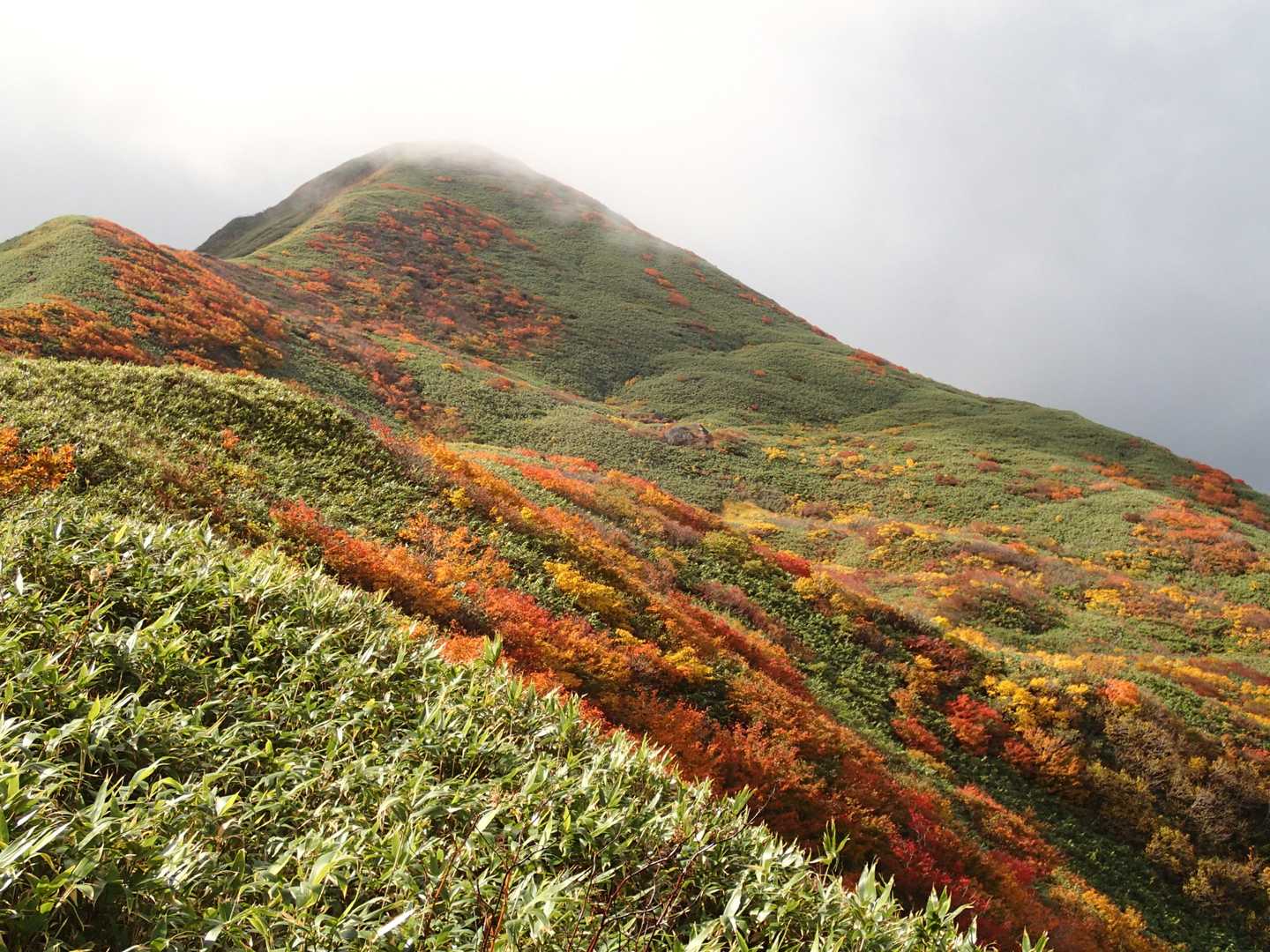 湯殿山の山頂は、まだガスってる