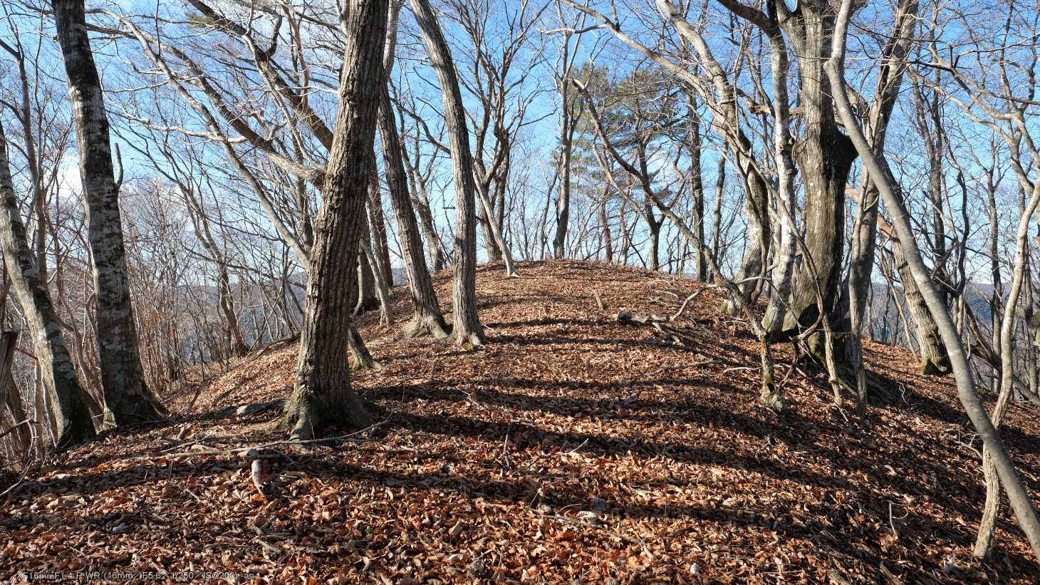 山頂です。