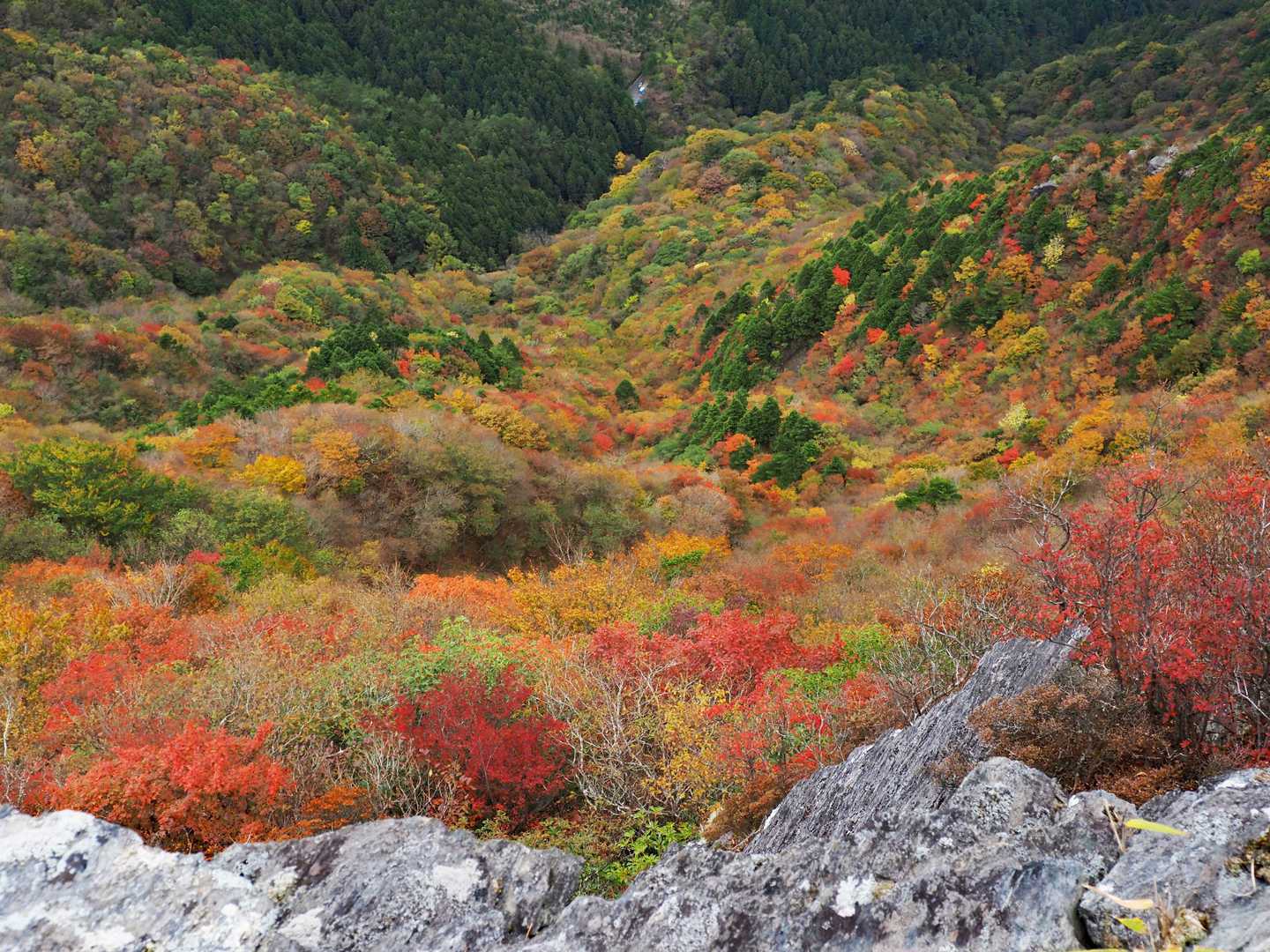 白髪トンネル北口方向
こっちも凄～い😍
