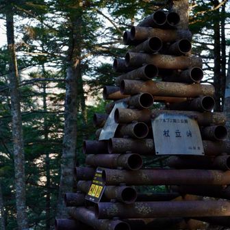 眺望、ベンチなし😮‍💨

杖立峠は、鳳凰三山への登山道に位置する古い峠である。急登が続き、旅人が杖を地面に立てて休んだことから名付けられたと伝えられる。生活道や信仰の道として使われてきた歴史を持ち、地名には当時の人々の身体感覚や峠越えの苦労がそのまま表れている。